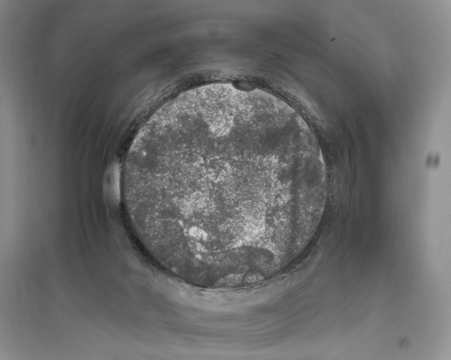 X0000096420022200802211134