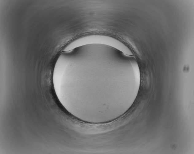 X0000096420023200802211134