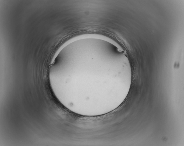 X0000096420025200802211134
