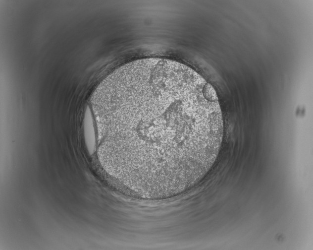 X0000096420026200802211134