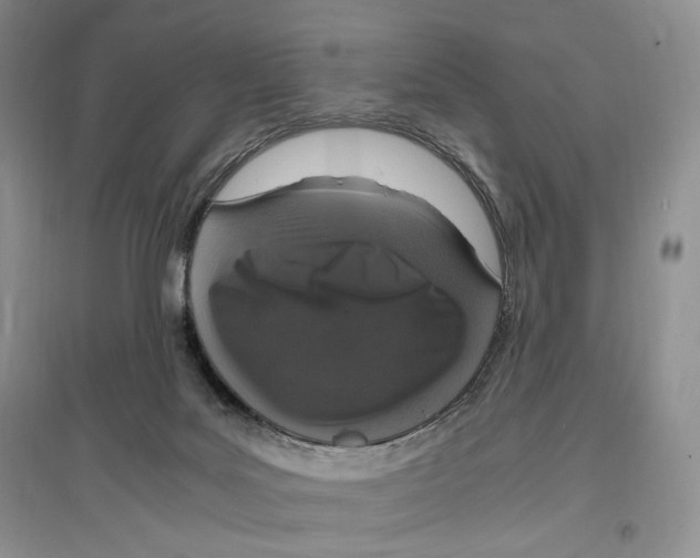 X0000096420027200802211134