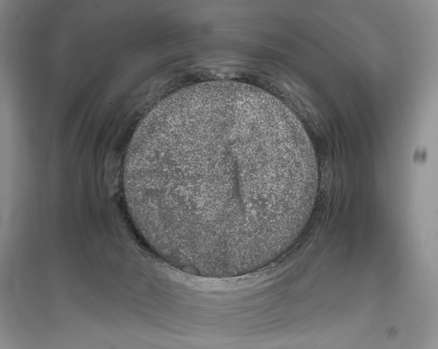 X0000096420030200802211134