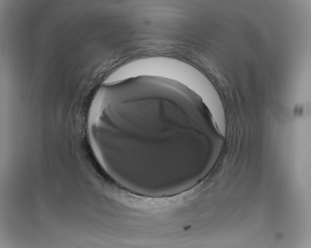 X0000096420031200802211134
