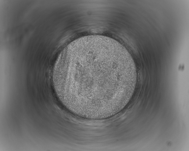 X0000096420032200802211134