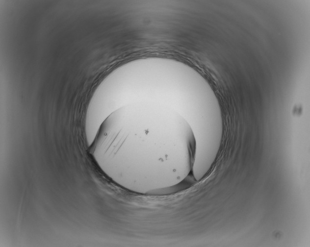 X0000096420033200802211133
