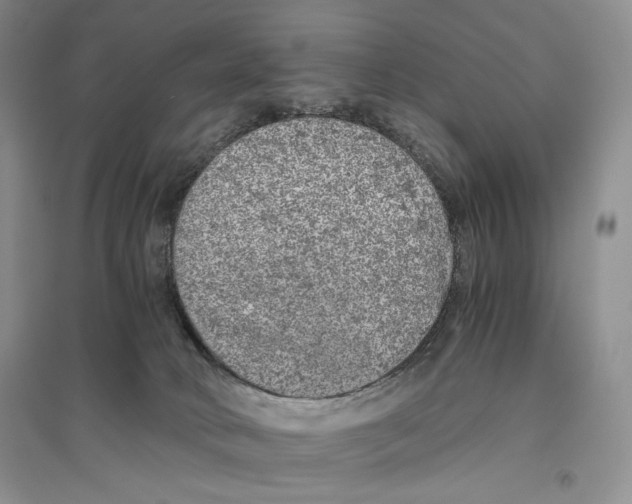 X0000096420034200802211133