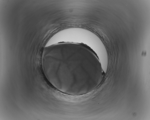 X0000096420035200802211133