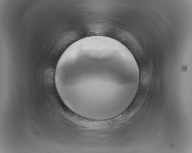 X0000096420036200802211133
