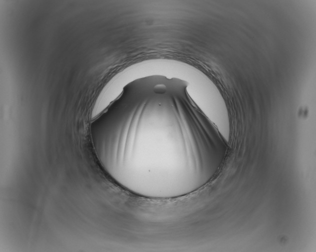 X0000096420037200802211133