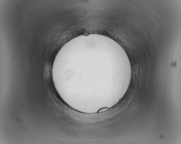 X0000096420038200802211133