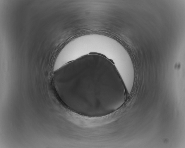 X0000096420039200802211133