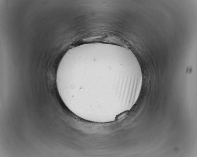 X0000096420040200802211133