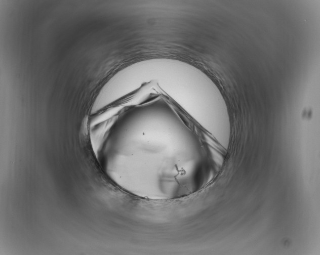 X0000096420041200802211133