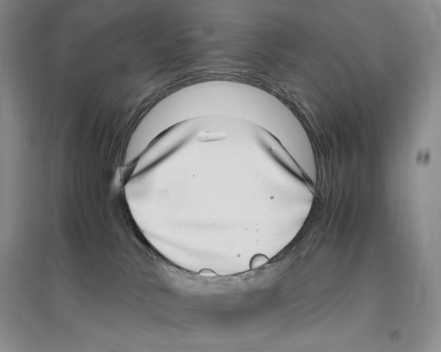 X0000096420042200802211133