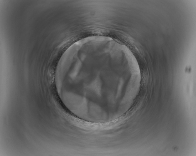 X0000096420043200802211133