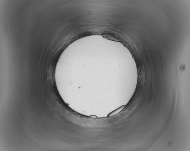 X0000096420044200802211133