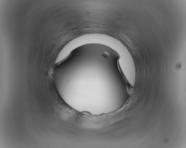 X0000096420045200802211133