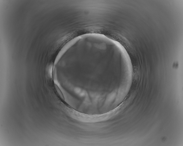 X0000096420047200802211133