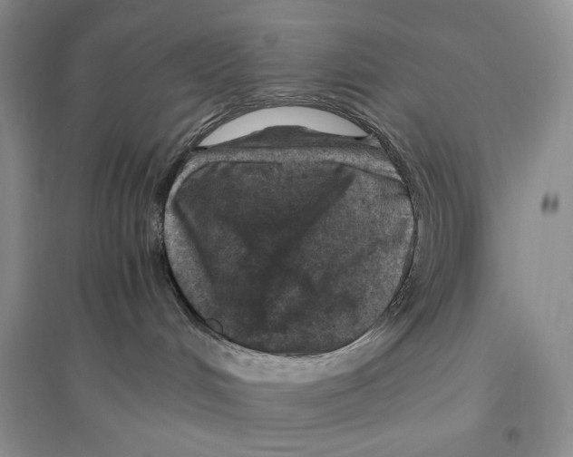 X0000096420048200802211133