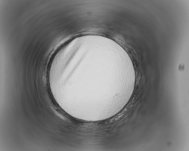 X0000096420050200802211133