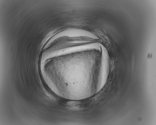 X0000096420051200802211133