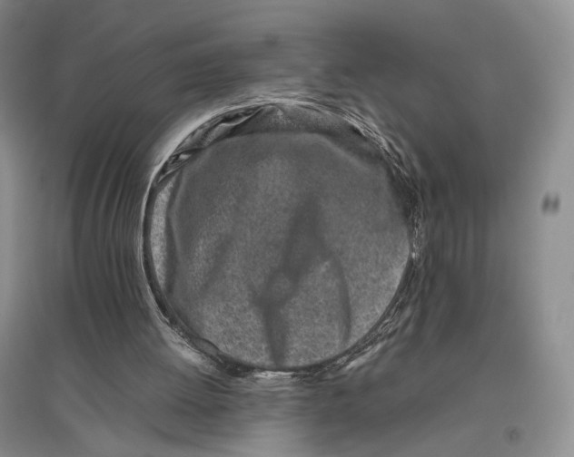 X0000096420052200802211133