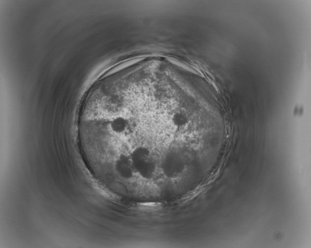 X0000096420053200802211133
