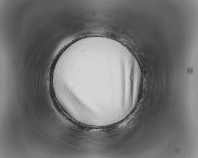 X0000096420054200802211133