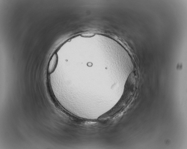 X0000096420055200802211133