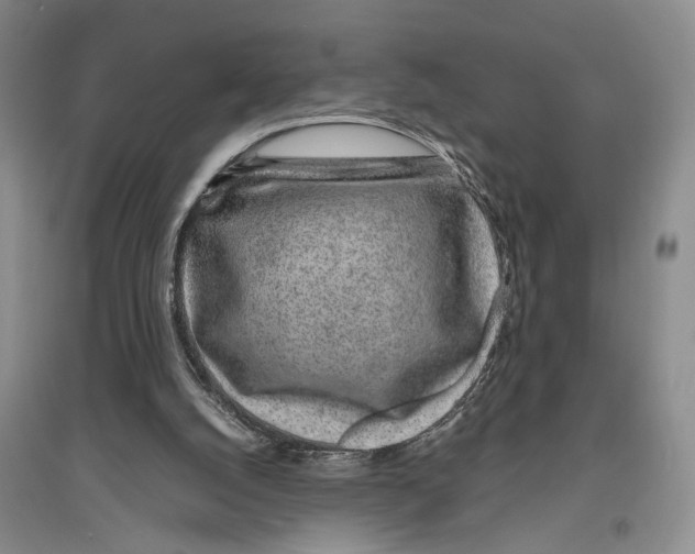 X0000096420056200802211133