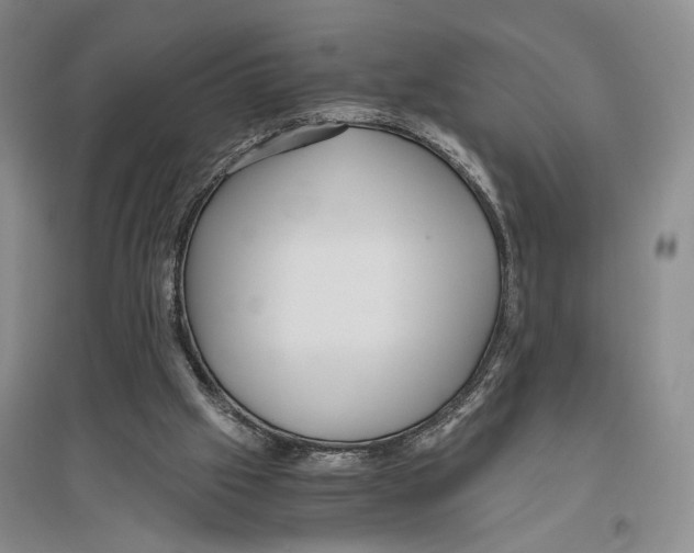 X0000096420057200802211133