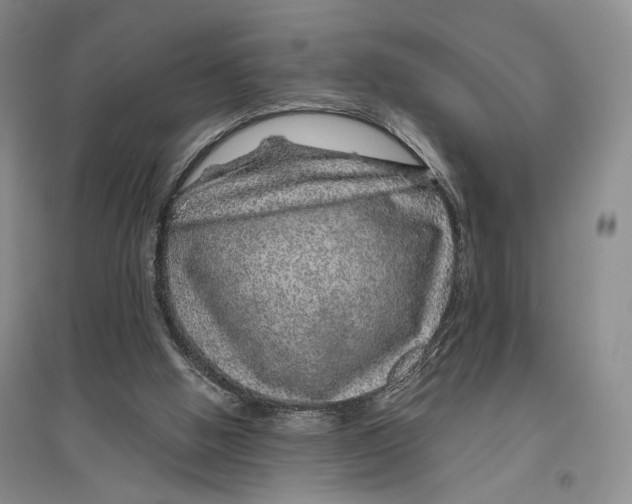 X0000096420058200802211133