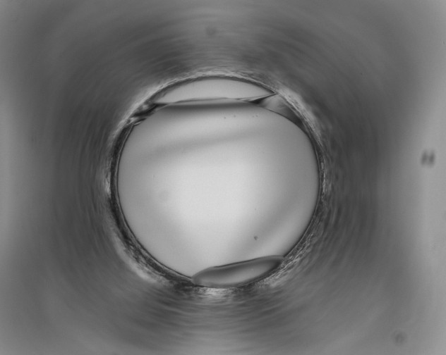 X0000096420060200802211133