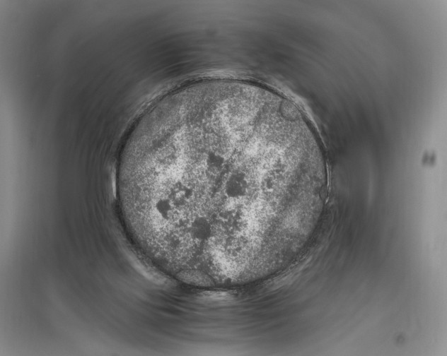 X0000096420061200802211133