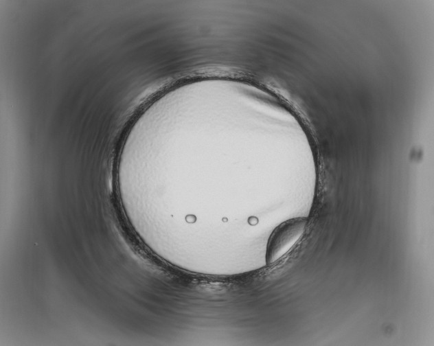 X0000096420062200802211133