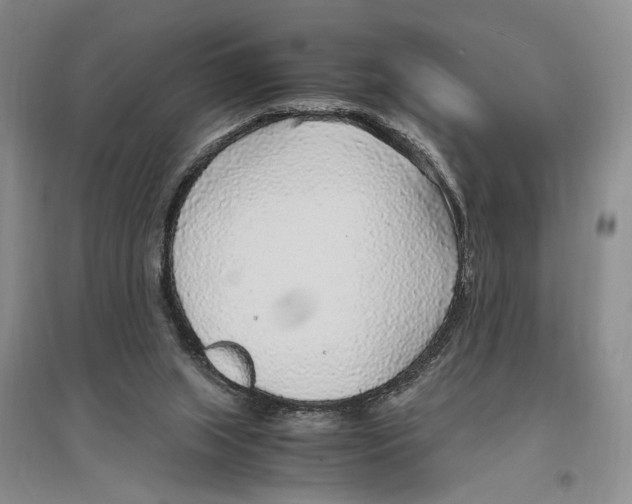 X0000096420063200802211133
