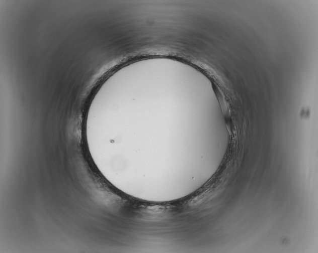 X0000096420064200802211133