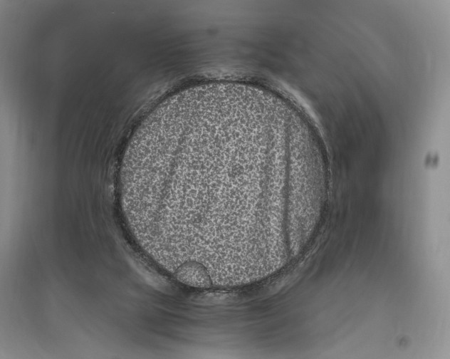 X0000096420065200802211133