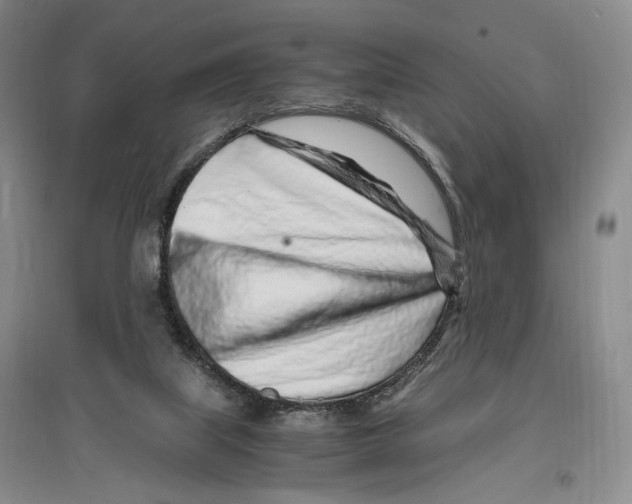 X0000096420067200802211133
