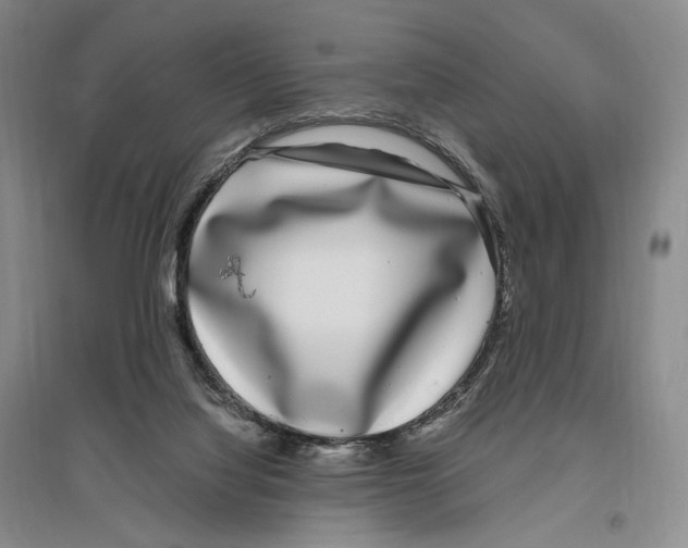 X0000096420068200802211133