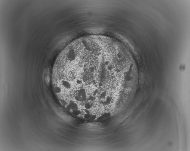 X0000096420069200802211133