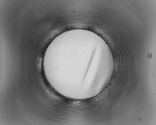X0000096420070200802211133