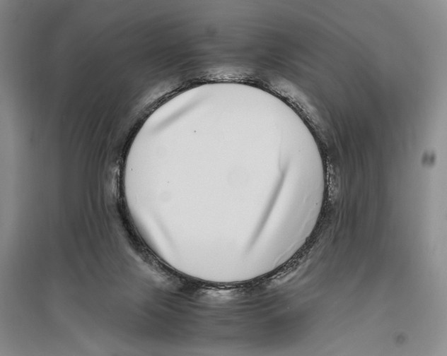 X0000096420071200802211133