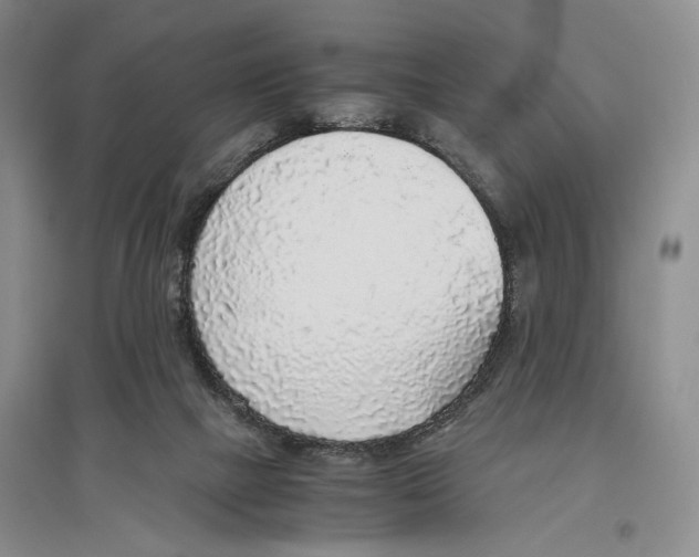 X0000096420073200802211133