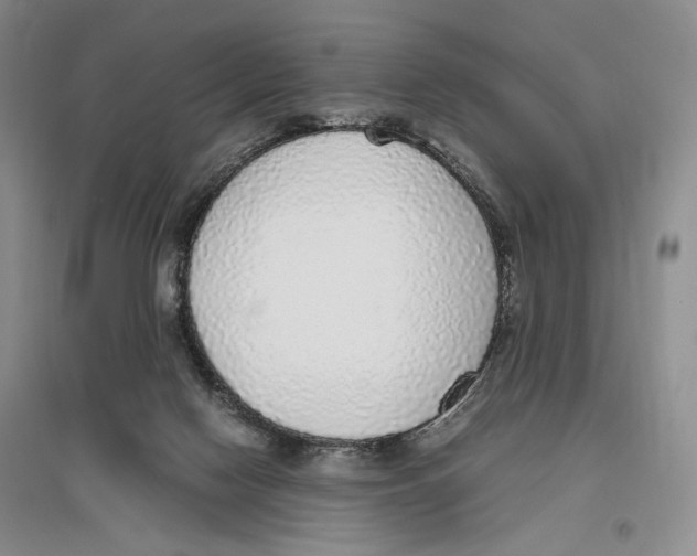 X0000096420074200802211133
