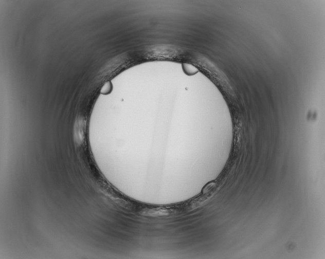 X0000096420075200802211133