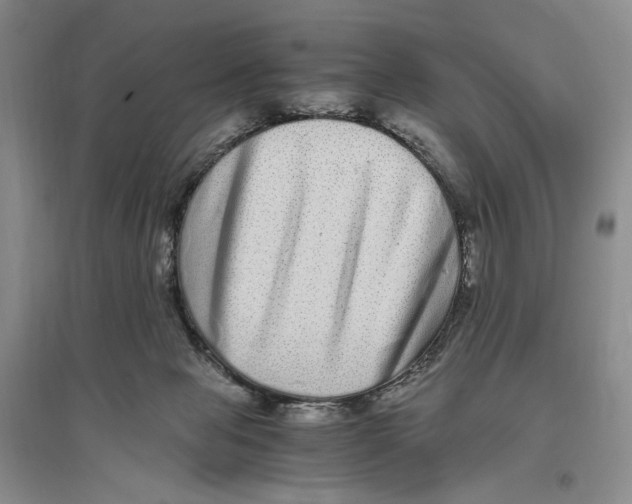 X0000096420077200802211133