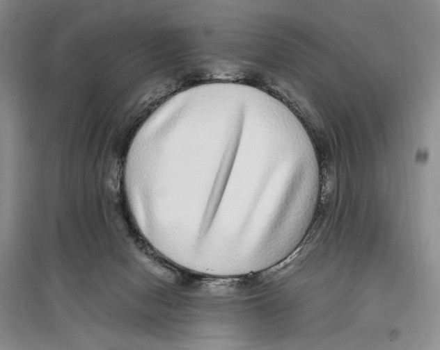 X0000096420078200802211133
