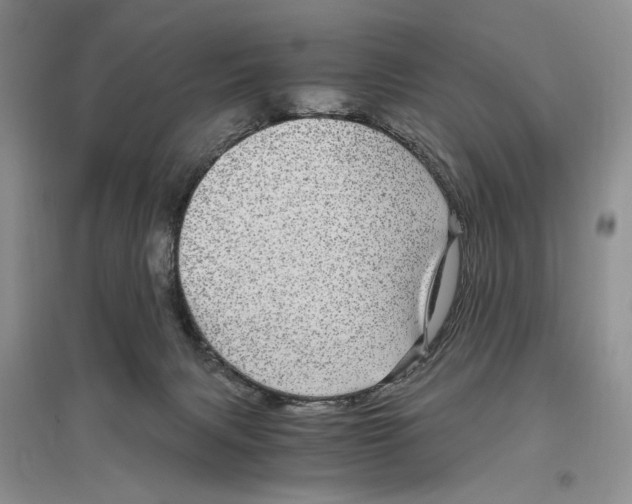 X0000096420079200802211133