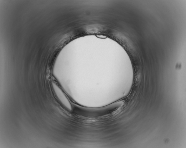X0000096420081200802211133